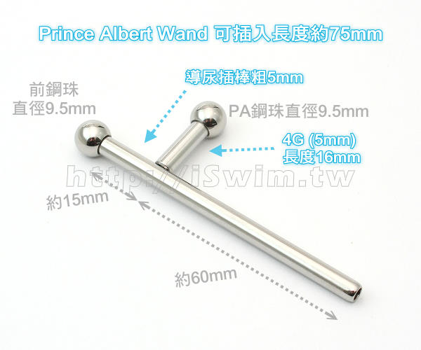 PA穿刺型王子魔杖~4G(5mm)長75mm↘SALE - 2