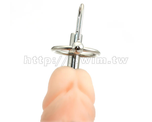 Unpierced Prince Albert Wand Toys sold out Toys R18 Mens Sexy